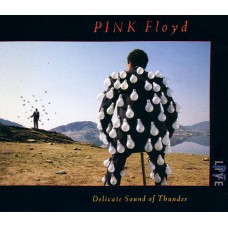 Pink Floyd CD -Delicate Sound Of Thunder Live 1988 2 CD